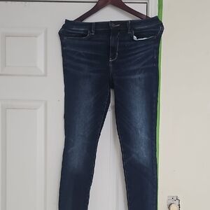 American Eagle Outfitters Dark Blue Women's Skinny Jeans